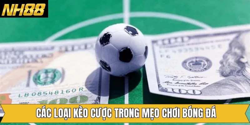Một số loại hình thức có thể áp dụng mẹo chơi bóng đá Một số loại hình thức có thể áp dụng mẹo chơi bóng đá