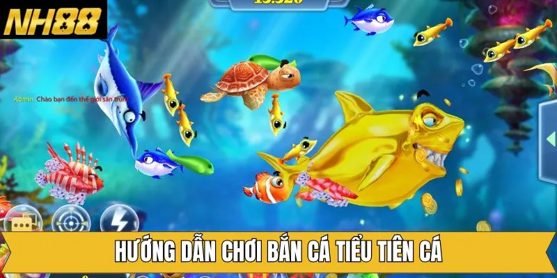 Hướng dẫn tham gia săn cá Tiểu Tiên Cá tại nhà cái