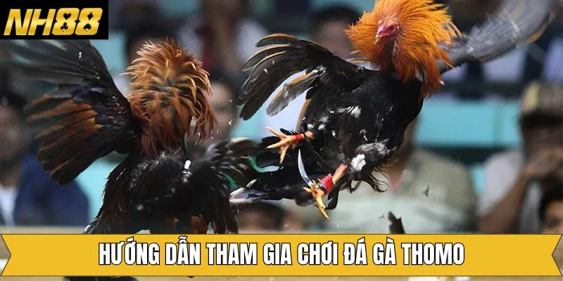 Hướng dẫn cách tham gia cá cược hiệu quả tại sân chơi
