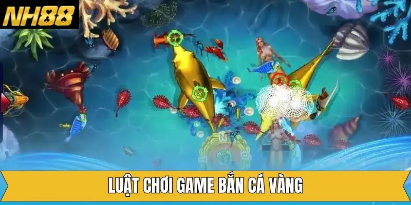 Cách thức chơi săn cá vàng trên NH88