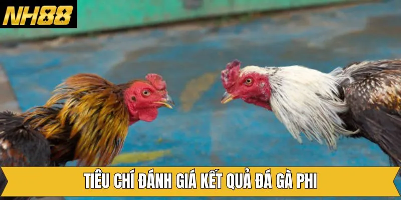 Tiêu chí đánh giá quyết định kết quả trong trận đấu