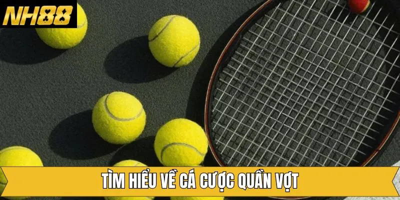 Khái quát về bộ môn quần vợt tại nhà cái