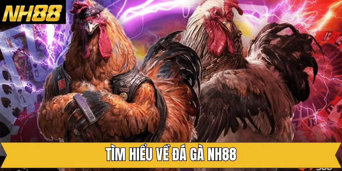 Chặng đường hình thành sân chơi đá gà tại NH88