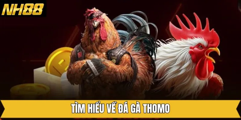 Tổng quan về bộ môn đá gà siêu cuốn hút