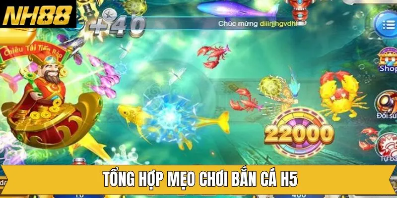 Mẹo chơi bắn cá H5 hiệu quả mà hội viên cần nắm