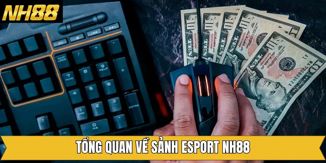 Tóm tắt khái quát sân chơi thể thao điện tử