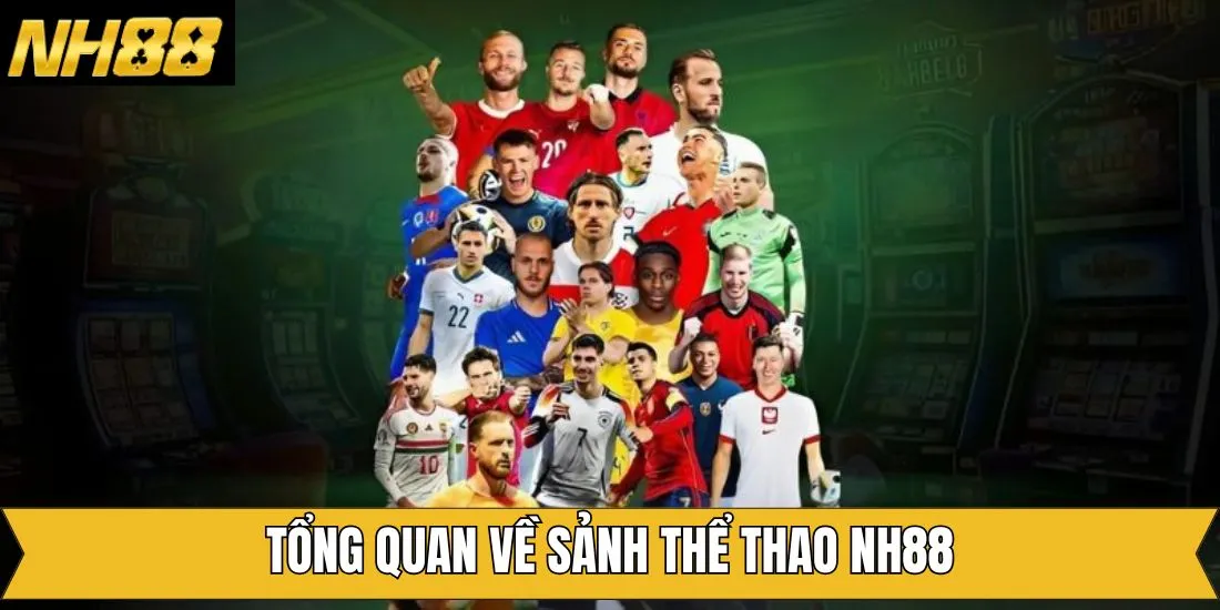 Tóm gọn vài điều về sân chơi đẳng cấp số 1